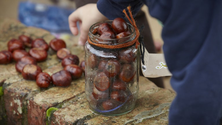 Child collecting conkers at Mottisfont, Hampshire, in autumn